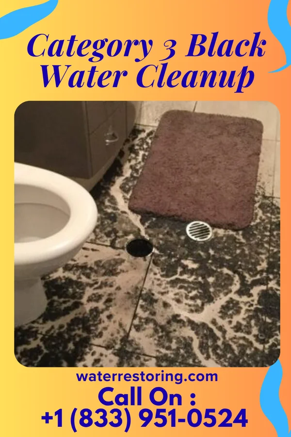 Category 3 Black Water Cleanup in Schuylerville, NY