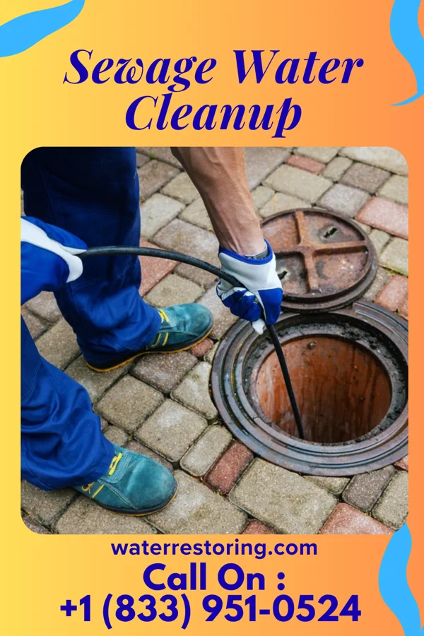 Sewage Water Cleanup in Schuylerville, NY